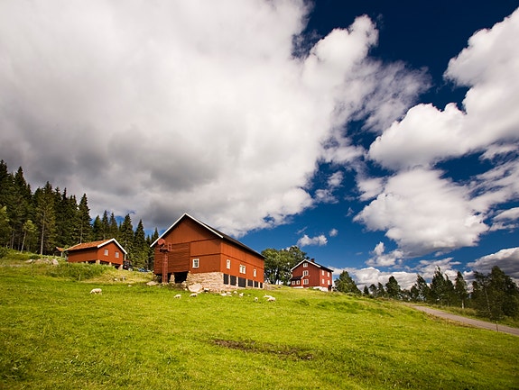 Bilde 3 av 5 i jobbannonse-galleriet