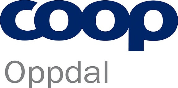 Bilde 1 av 1 i jobbannonse-galleriet