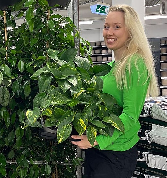 Bilde 3 av 4 i jobbannonse-galleriet