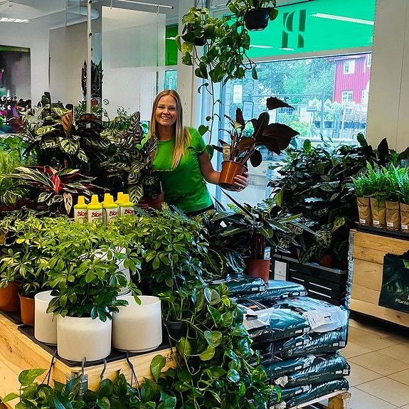 Bilde 4 av 4 i jobbannonse-galleriet