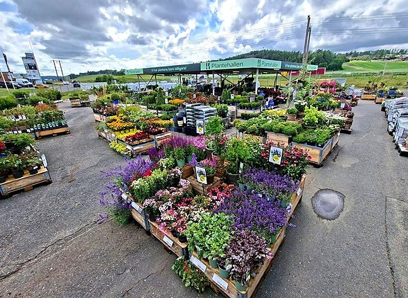 Bilde 2 av 4 i jobbannonse-galleriet