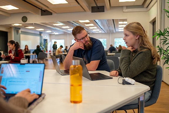 Bilde 2 av 5 i jobbannonse-galleriet