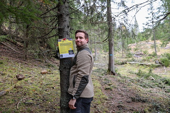 Merking av tømmerdrift, Vladislav Skorobogatyi, Jevnaker