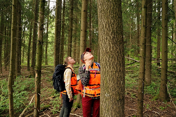 MiS-registrering, Sarpsborg, Lise og Johanna