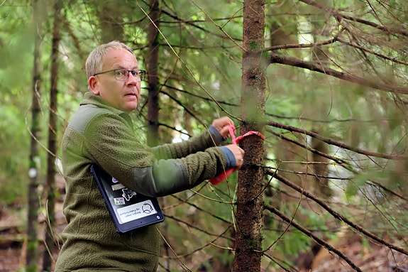 Bilde 5 av 10 i jobbannonse-galleriet