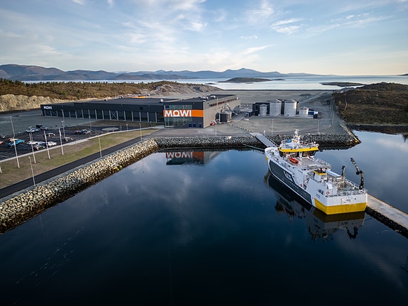 Bilde 1 av 1 i jobbannonse-galleriet