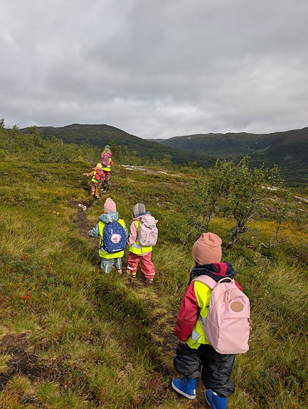 Tur til toppen av Eidhaugen,