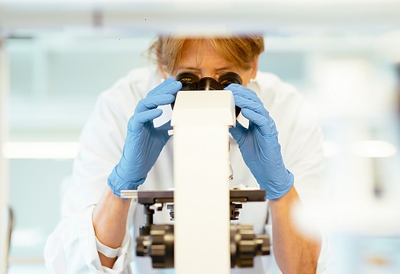 Bilde 1 av 1 i jobbannonse-galleriet