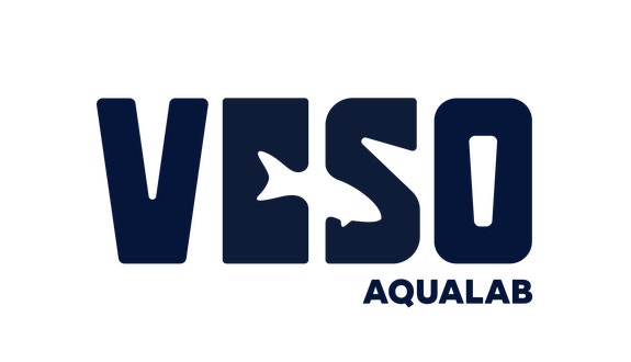 VESO AS logo
