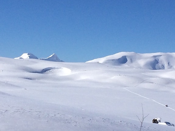Jotunheimen med hvite vidder