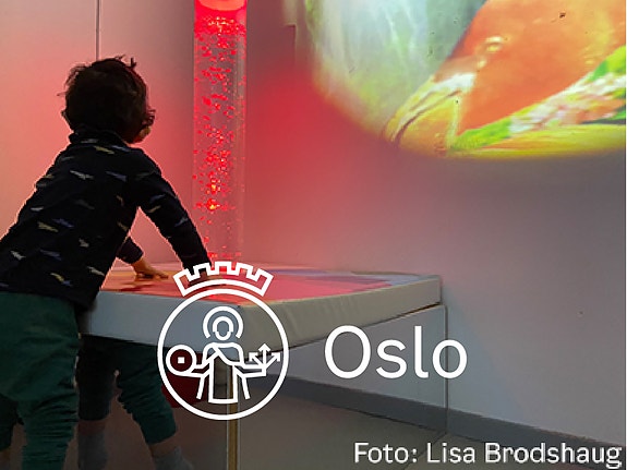 Bilde 1 av 1 i jobbannonse-galleriet