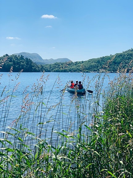 Bilde 7 av 9 i jobbannonse-galleriet