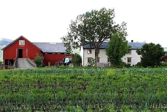 Bilde 2 av 4 i jobbannonse-galleriet