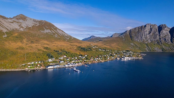 Torsken, på yttersida av Senja – naturen her er en del av hverdagen, ikke bare utsikten.