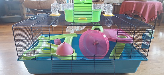 Product image 5 of 10