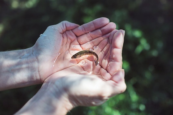 Bilde 2 av 3 i jobbannonse-galleriet