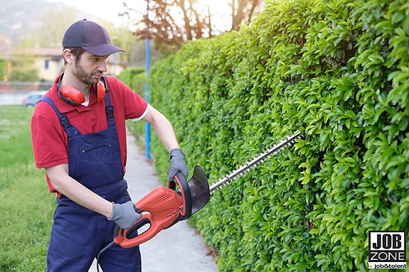 Bilde 3 av 3 i jobbannonse-galleriet