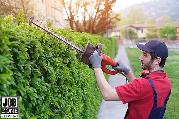 Bilde 2 av 3 i jobbannonse-galleriet