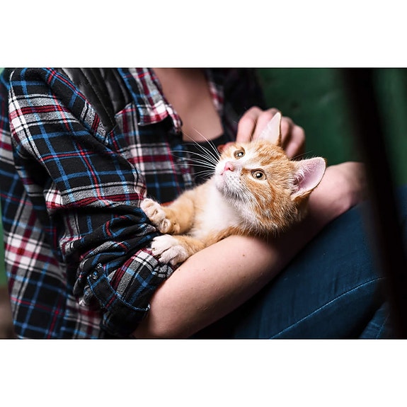 Bilde 7 av 9 i jobbannonse-galleriet