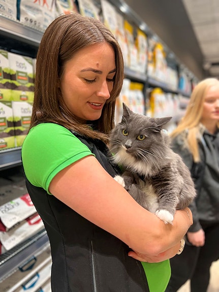 Bilde 4 av 9 i jobbannonse-galleriet