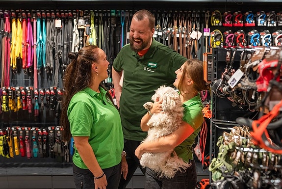 Bilde 2 av 9 i jobbannonse-galleriet