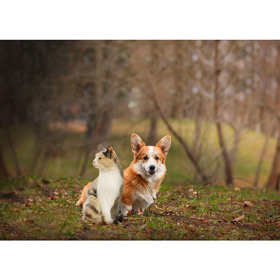 Bilde 6 av 9 i jobbannonse-galleriet