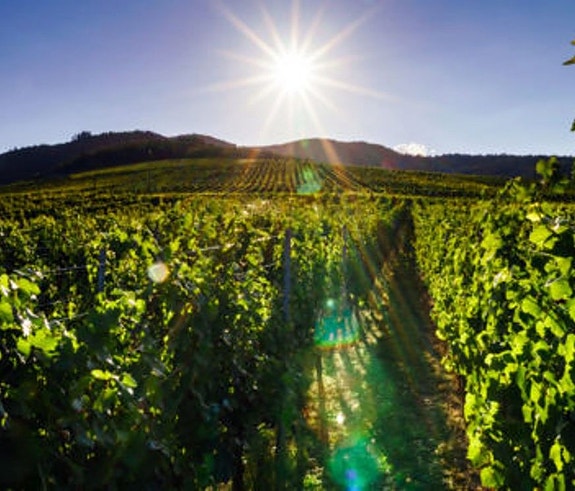 Bilde 5 av 5 i jobbannonse-galleriet