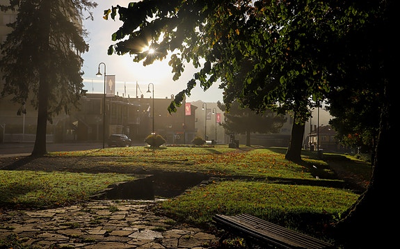 Bilde 2 av 5 i jobbannonse-galleriet