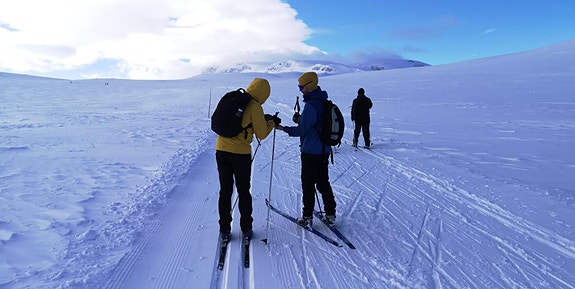 Firma-skitur i 24. Vår beste utvikler tigger sjokolade for å holde ut helt til Prestholtseter.