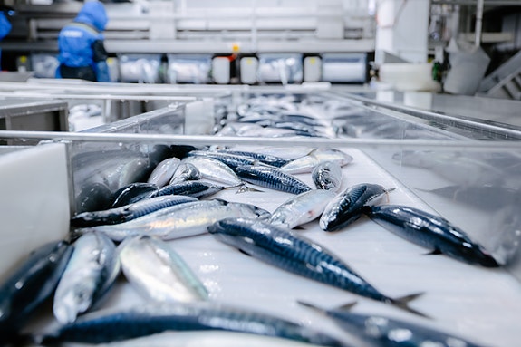 Bilde 6 av 7 i jobbannonse-galleriet