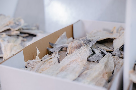 Bilde 5 av 7 i jobbannonse-galleriet