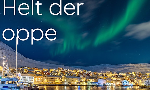 Bilde 1 av 1 i jobbannonse-galleriet