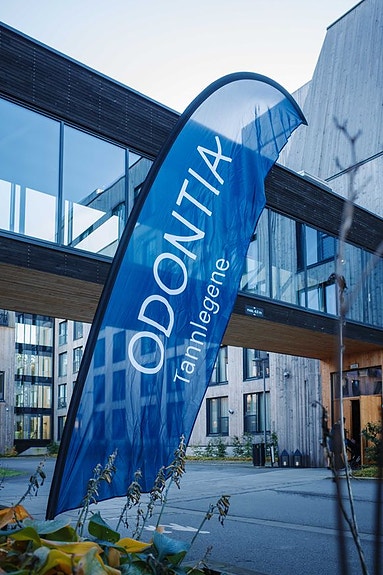 Bilde 1 av 3 i jobbannonse-galleriet