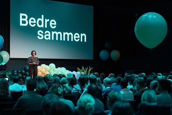 Bilde 2 av 3 i jobbannonse-galleriet