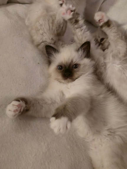 Product image 2 of 9