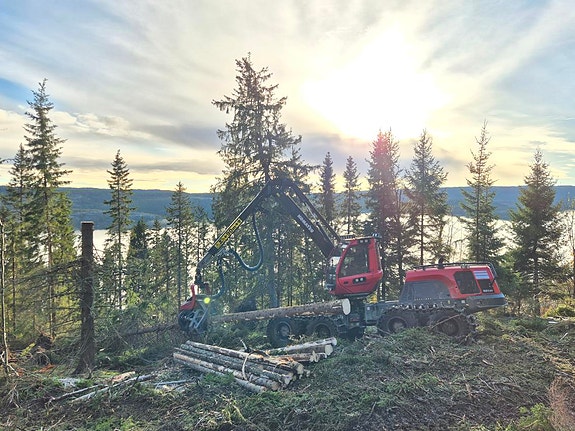 Bilde 2 av 2 i jobbannonse-galleriet