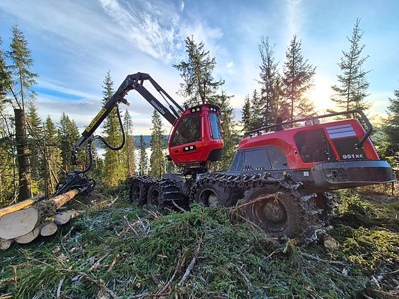 Bilde 1 av 2 i jobbannonse-galleriet