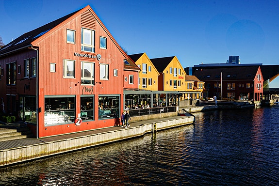 Bilde 5 av 6 i jobbannonse-galleriet