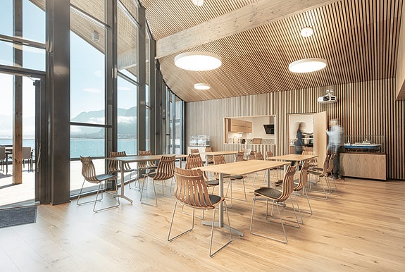 Bilde 2 av 3 i jobbannonse-galleriet