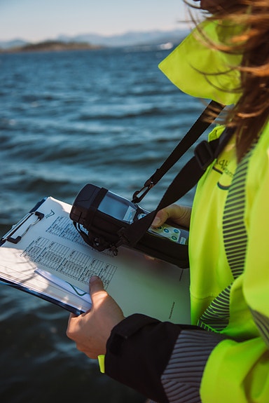 Bilde 2 av 3 i jobbannonse-galleriet