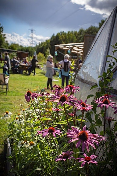 Fra tunet på gamle Voksenenga