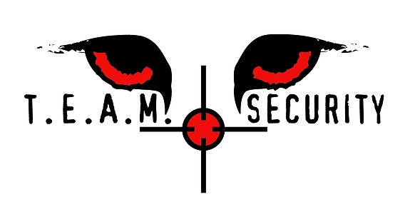 Team Security AS logo