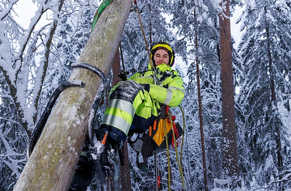 Bilde 3 av 4 i jobbannonse-galleriet