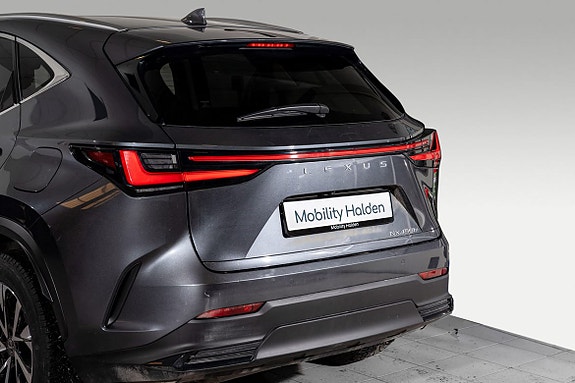 Lexus NX450h 6 of 29