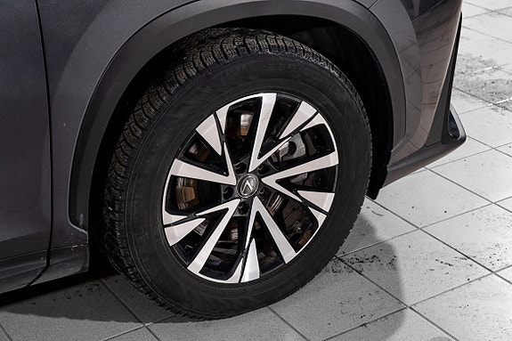 Lexus NX450h 9 of 29