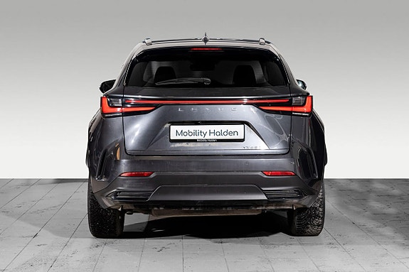 Lexus NX450h 4 of 29