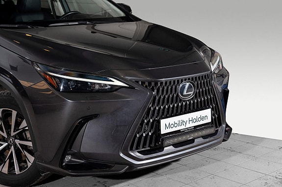Lexus NX450h 5 of 29
