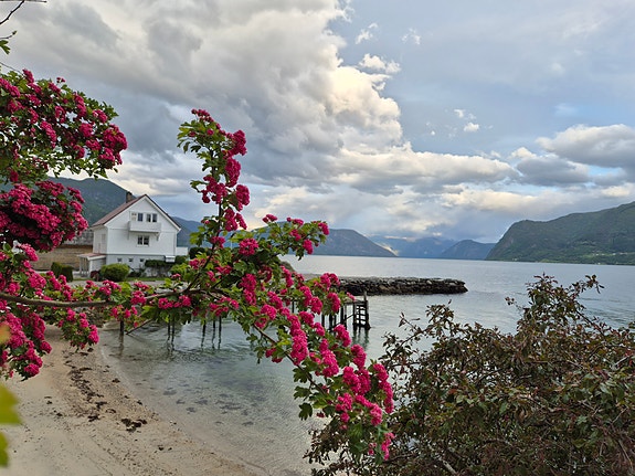 Bilde 3 av 10 i jobbannonse-galleriet