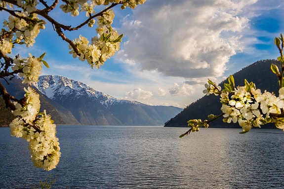 Bilde 1 av 10 i jobbannonse-galleriet