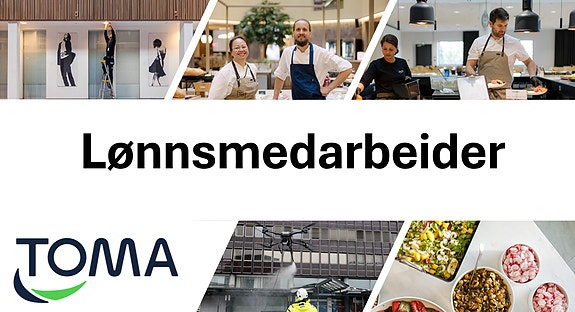 Bilde 1 av 3 i jobbannonse-galleriet